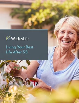 Living Your Nest Life After 55 guide cover Living Your Nest Life After 55 guide cover