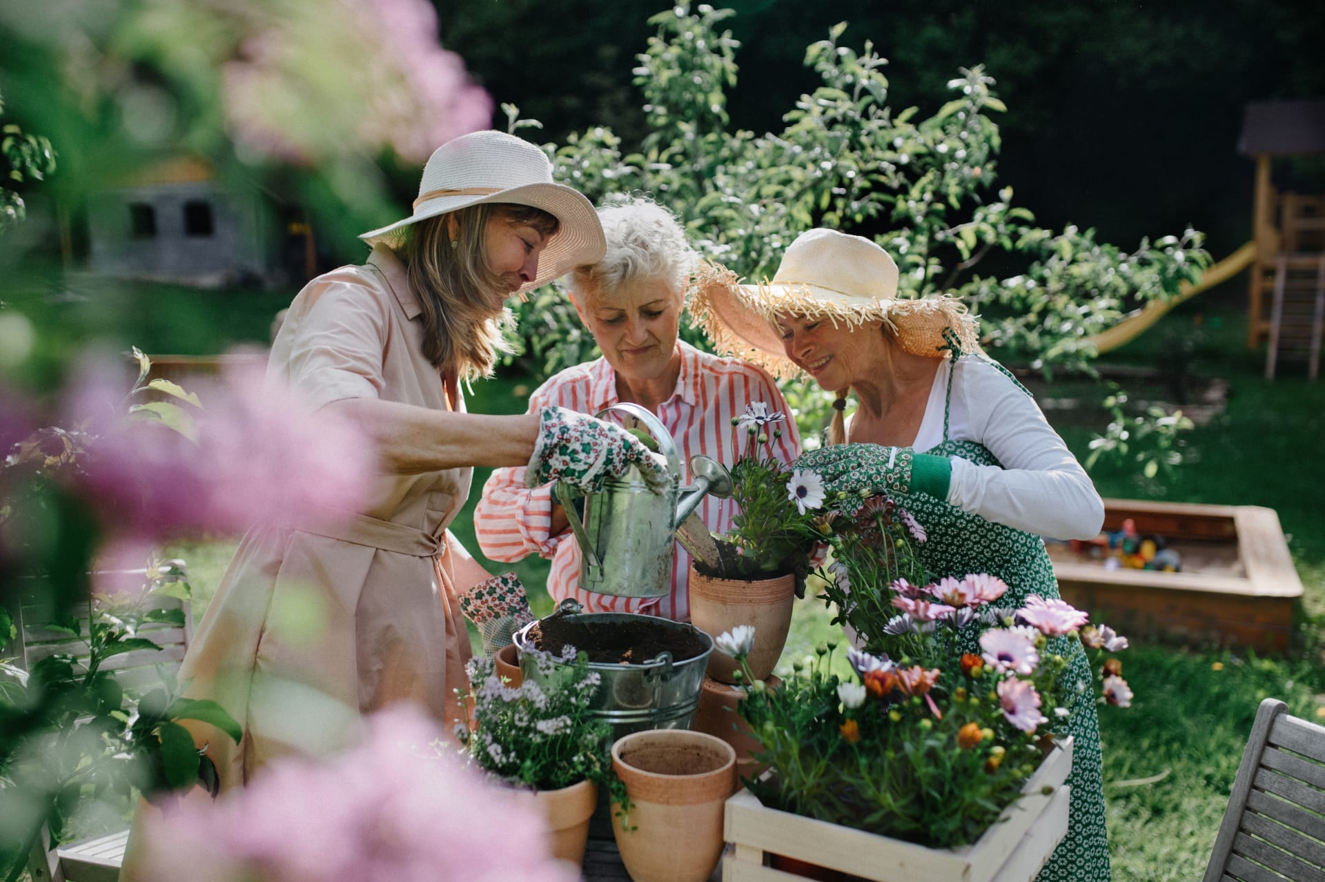 three senior women gardening