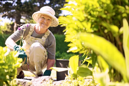 Read: 6 Benefits of Gardening for Seniors