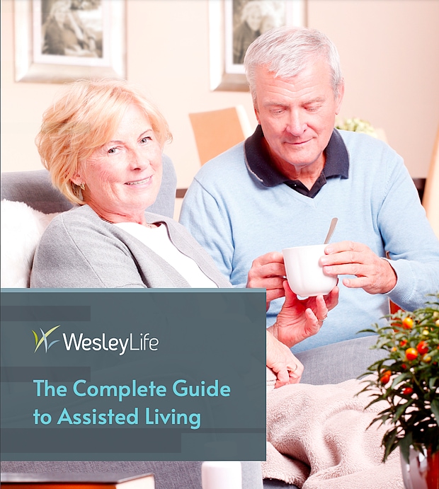 E-book cover of The Complete Guide to Assisted Living by WesleyLife