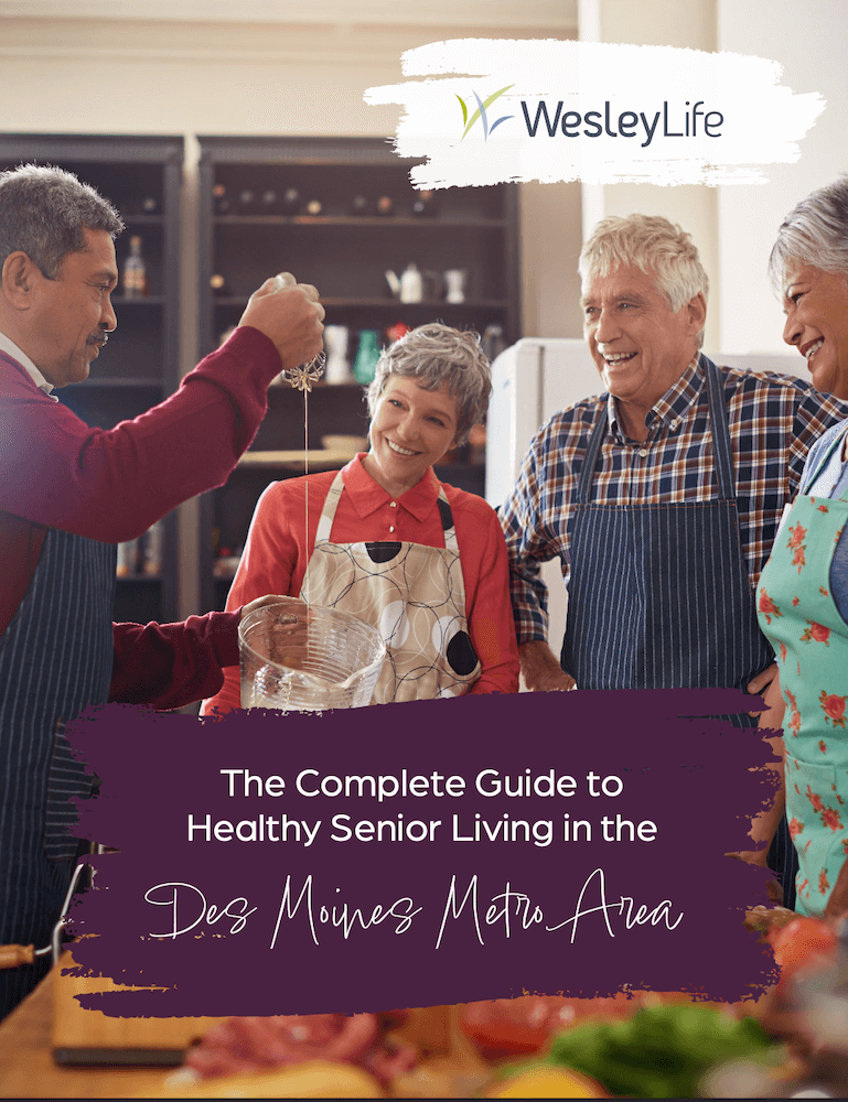 The Complete Guide to Healthy Senior Living in the Des Moines Metro Area Ebook Cover The Complete Guide to Healthy Senior Living in the Des Moines Metro Area Ebook Cover