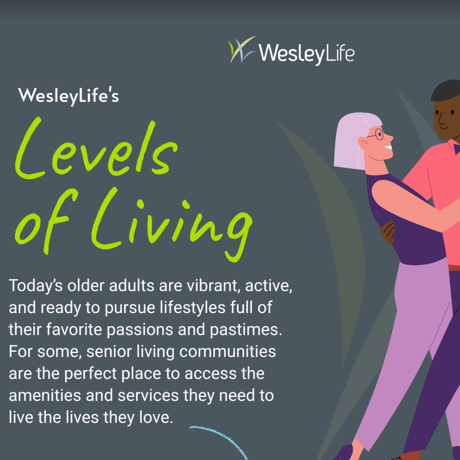 Levels of Living Infographic
